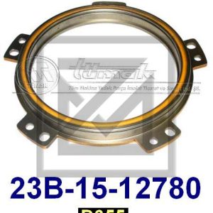 بلاطة شنجمان PLATE