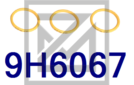 O-RING سيل بوري زيت