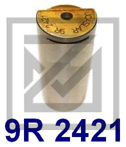 بيرنو PIN